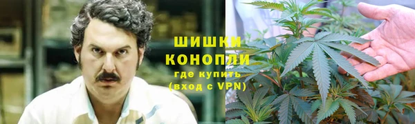 спиды Кукмор
