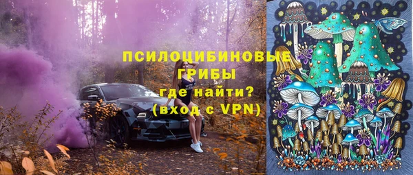 тгк Кулебаки
