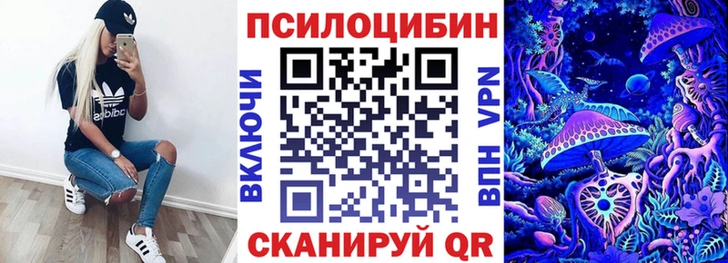 что такое   Мариинск  Псилоцибиновые грибы MAGIC MUSHROOMS 